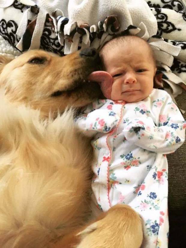 Awesome Pictures You Shouldn’t Miss #85 (28 photos)