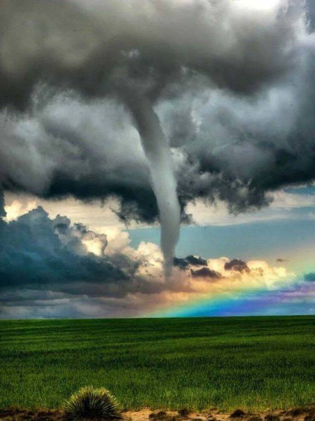 Awesome Pictures You Shouldn’t Miss #85 (28 photos)