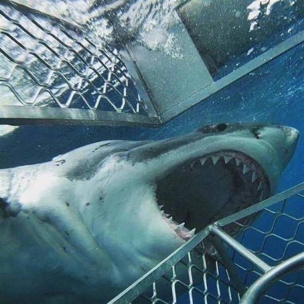 Awesome Pictures You Shouldn’t Miss #85 (28 photos)