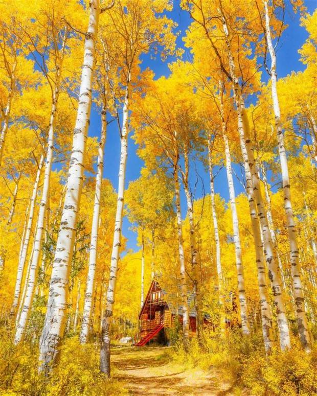 Awesome Pictures You Shouldn’t Miss #82 (29 photos)