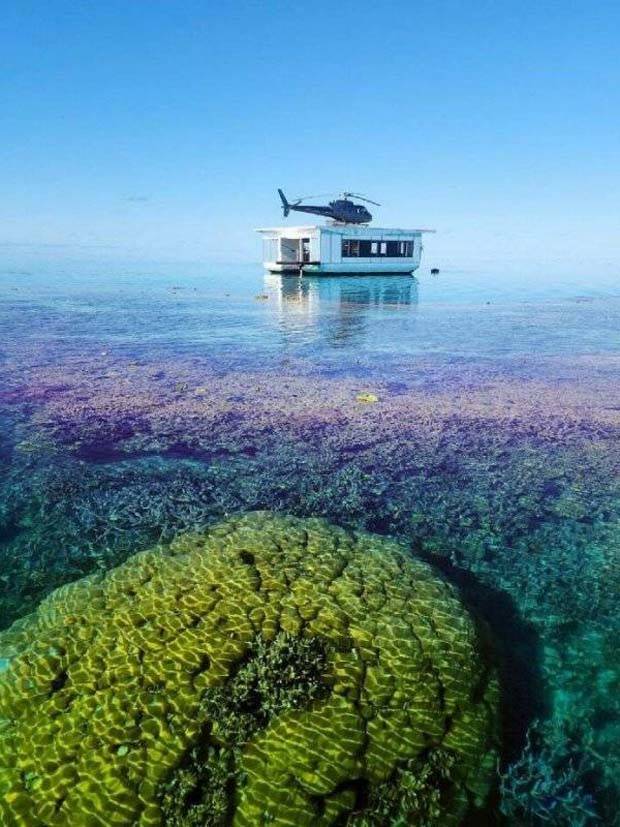 Awesome Pictures You Shouldn’t Miss #82 (29 photos)