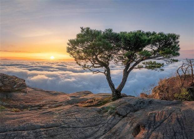 Awesome Pictures You Shouldn’t Miss #82 (29 photos)