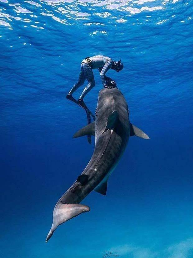 Awesome Pictures You Shouldn’t Miss #82 (29 photos)