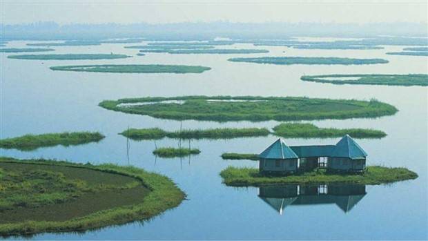 Awesome Pictures You Shouldn’t Miss #82 (29 photos)