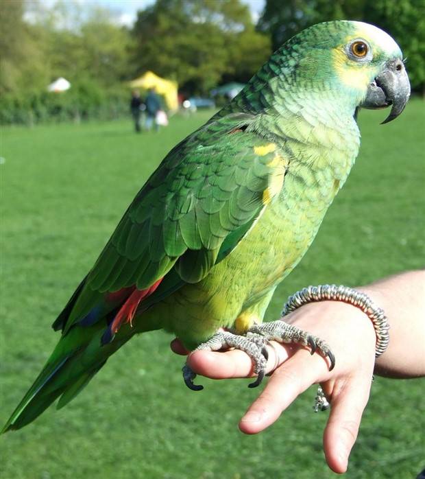 Awesome Pictures You Shouldn’t Miss #82 (29 photos)