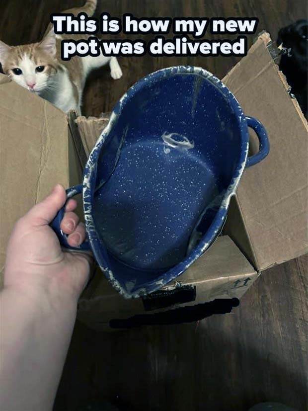 bad day happens 5 Shit Happens Regularly, Get Used To It #259 (28 photos)