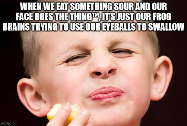 Funny Shower Thoughts #86 (33 photos)