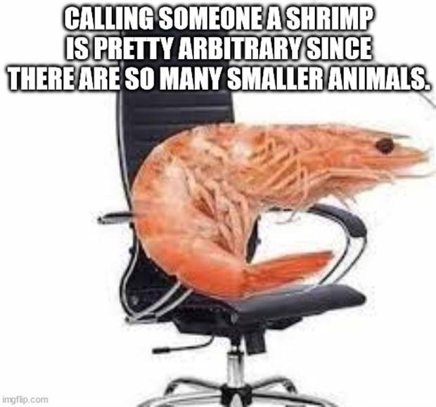 Funny Shower Thoughts #86 (33 photos)