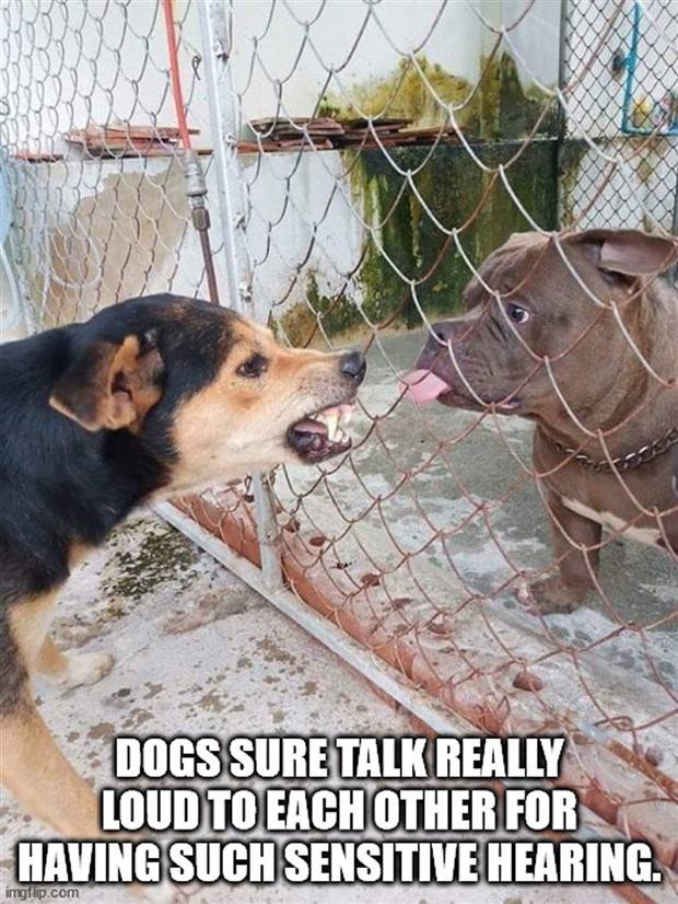 Funny Shower Thoughts #86 (33 photos)