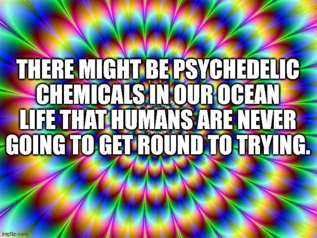 Funny Shower Thoughts #86 (33 photos)