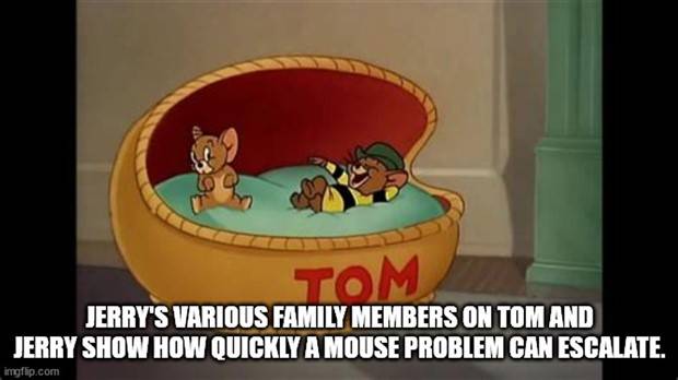 Funny Shower Thoughts #86 (33 photos)