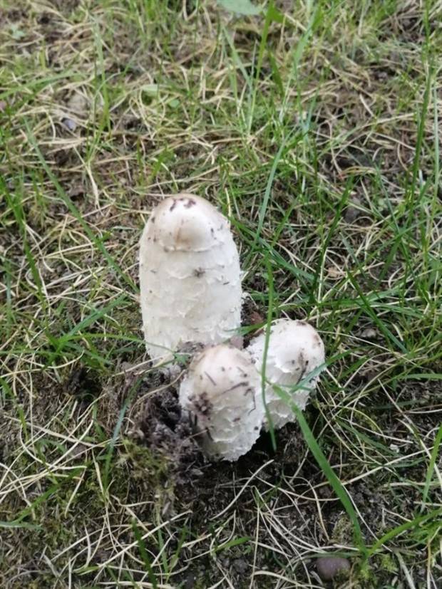 dirty mind pics 10 Put Your Dirty Mind to the Test #83 (32 photos)