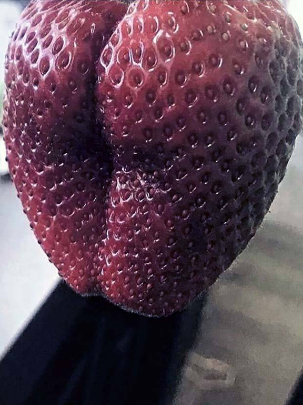 dirty mind pics 17 Put Your Dirty Mind to the Test #83 (32 photos)