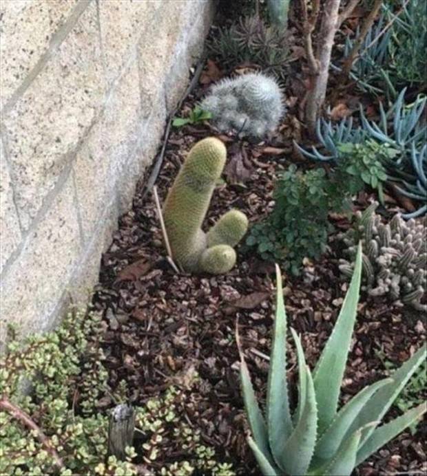 dirty mind pics 5 Put Your Dirty Mind to the Test #83 (32 photos)