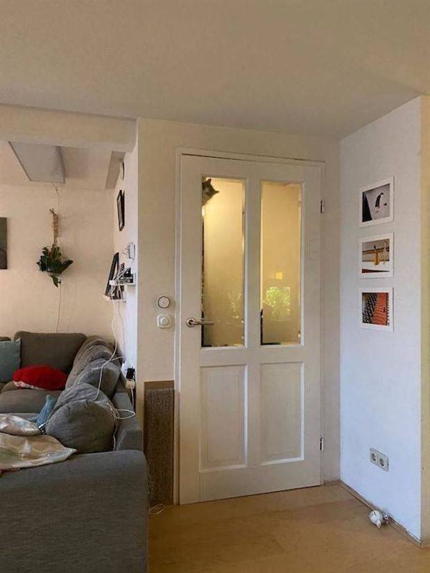 funny animals 13 Get Ready for Funny Animals #314 (29 photos)