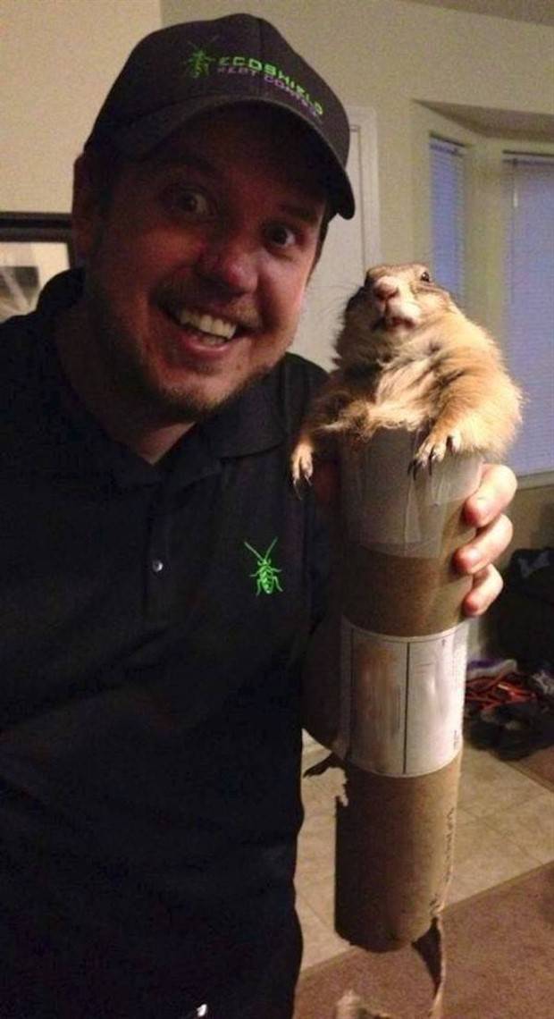 funny animals 29 Get Ready for Funny Animals #314 (29 photos)