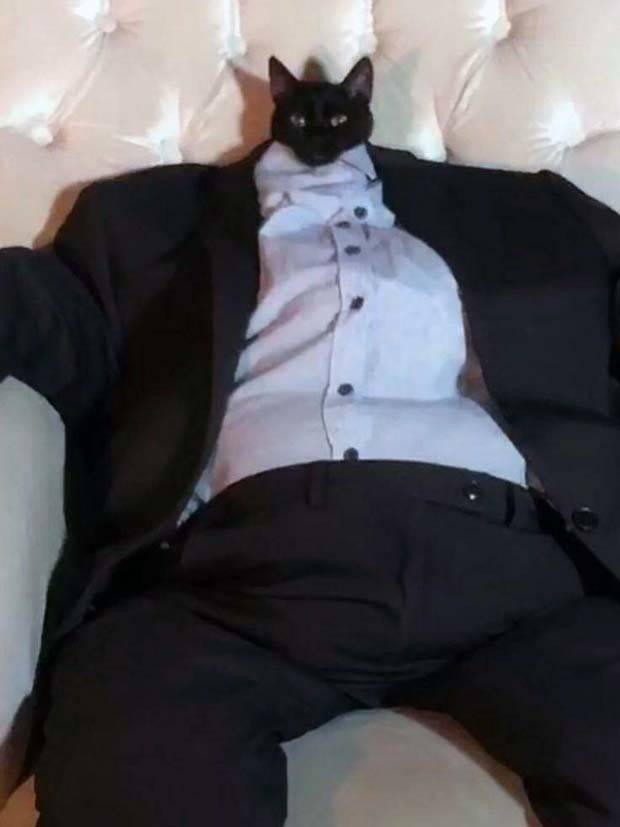 funny animals 3 Get Ready for Funny Animals #314 (29 photos)