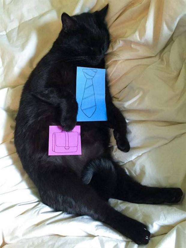 funny animals 8 Get Ready for Funny Animals #314 (29 photos)