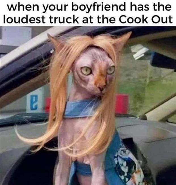 Funny Pics and Memes to Make You Laugh #85 (35 photos)