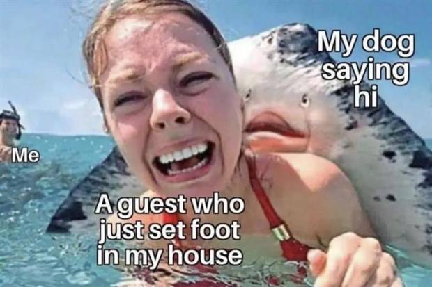 Funny Pics and Memes to Make You Laugh #85 (35 photos)