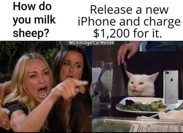 Funny Pics and Memes to Make You Laugh #85 (35 photos)