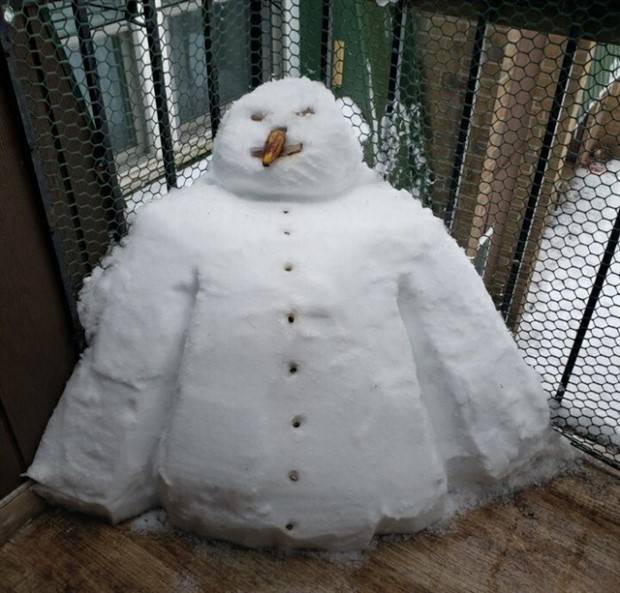 Snowmen Funnies: Hilarious Winter Vibes (21 photos)