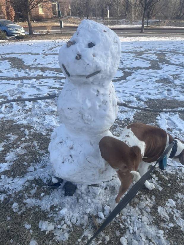 Snowmen Funnies: Hilarious Winter Vibes (21 photos)