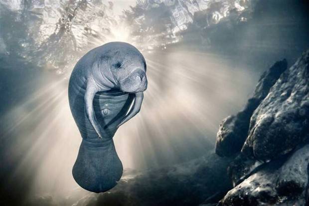 Klyker Picdump #1366 (51 photos)