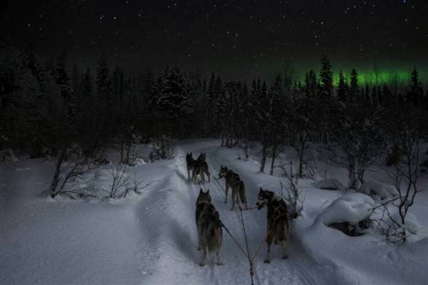 Klyker Picdump #1366 (51 photos)