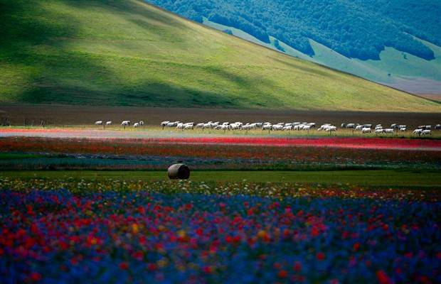 Klyker Picdump #1366 (51 photos)