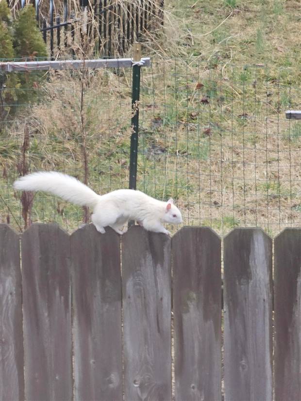 Klyker Picdump #1366 (51 photos)