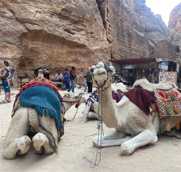 Klyker Picdump #1366 (51 photos)