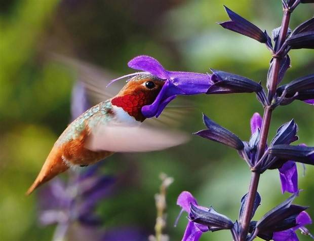 Klyker Picdump #1366 (51 photos)