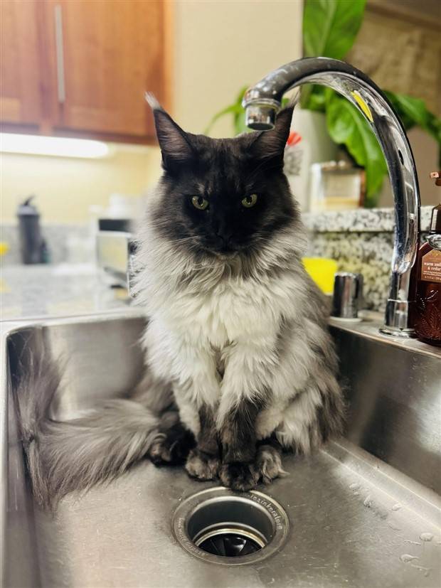 Klyker Picdump #1366 (51 photos)