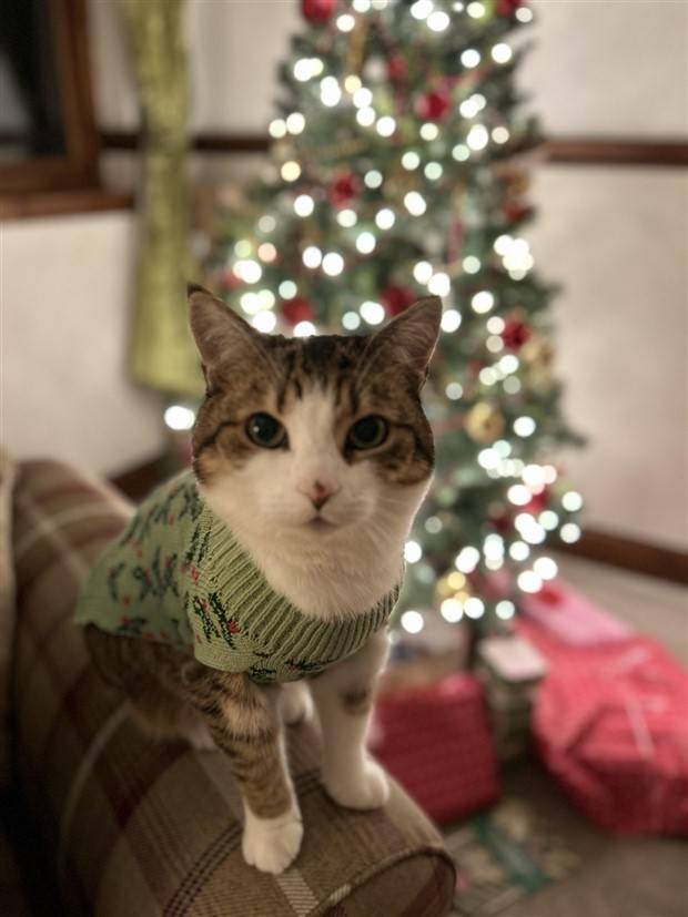 Klyker Picdump #1366 (51 photos)