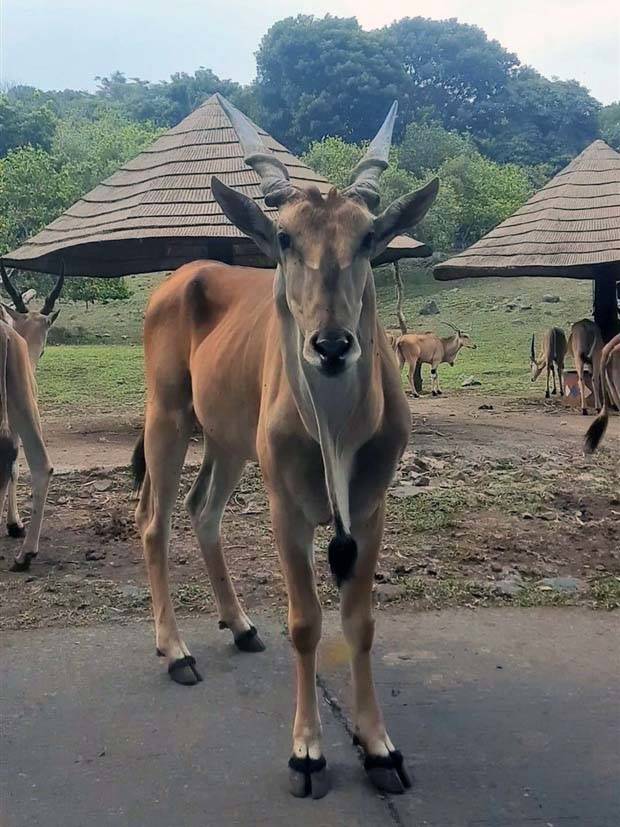 Klyker Picdump #1366 (51 photos)