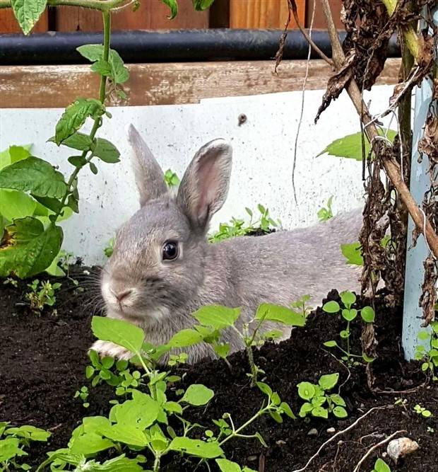 Klyker Picdump #1366 (51 photos)