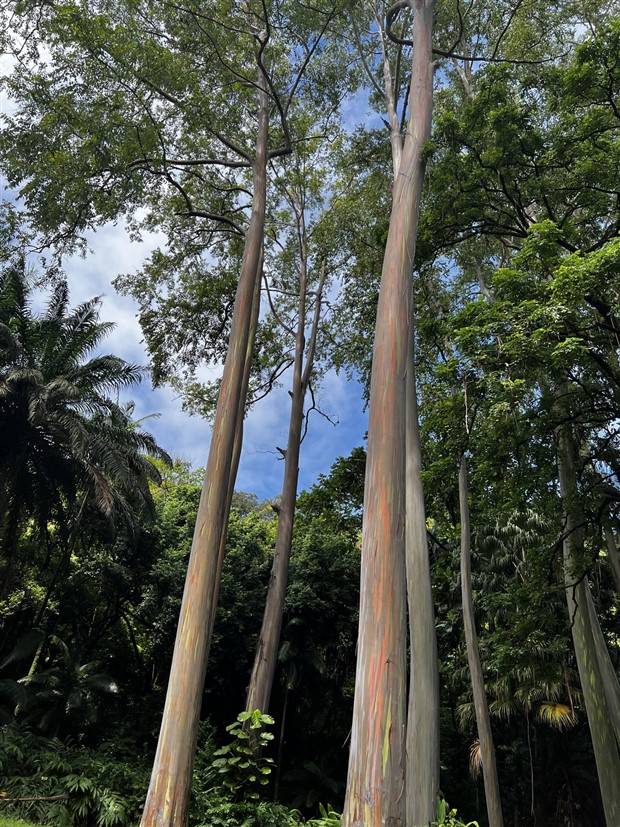 Klyker Picdump #1373 (53 photos)