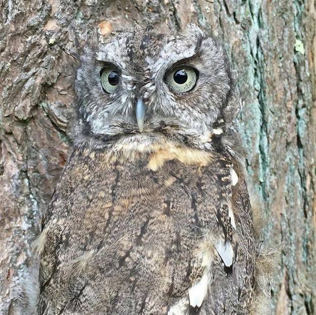 Klyker Picdump #1373 (53 photos)