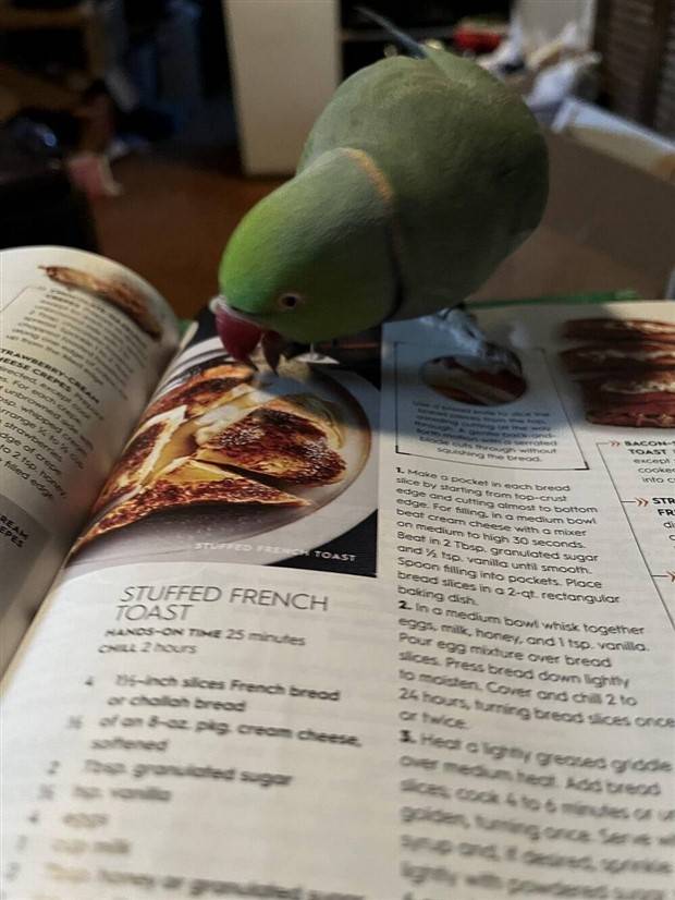 Klyker Picdump #1373 (53 photos)