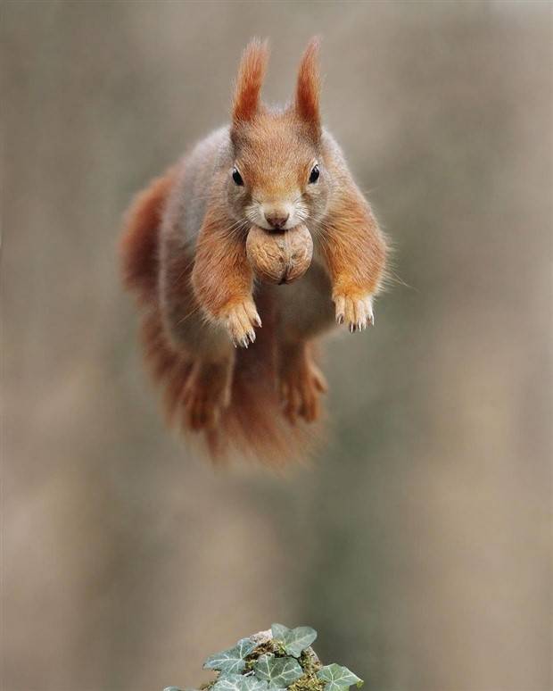 Klyker Picdump #1373 (53 photos)