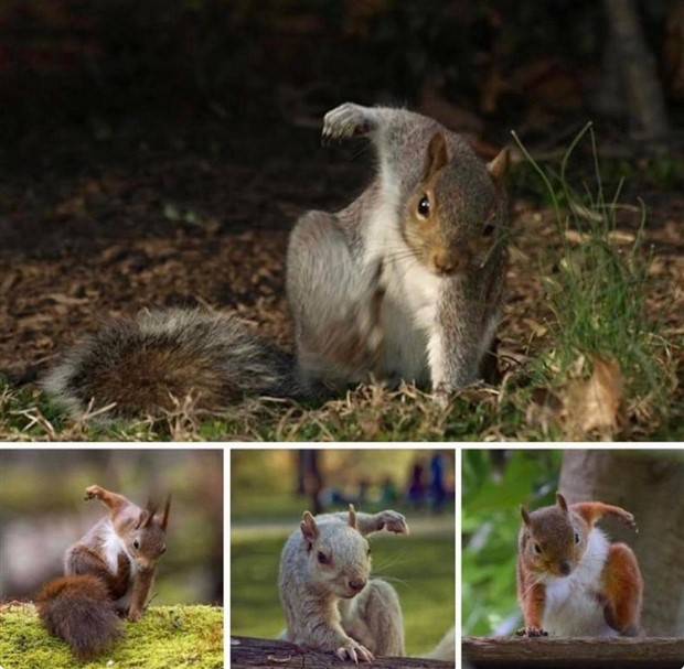 Klyker Picdump #1373 (53 photos)