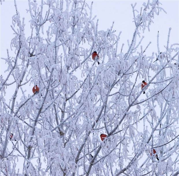 Klyker Picdump #1373 (53 photos)