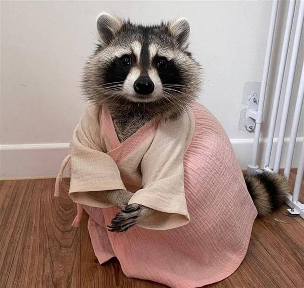 Klyker Picdump #1373 (53 photos)