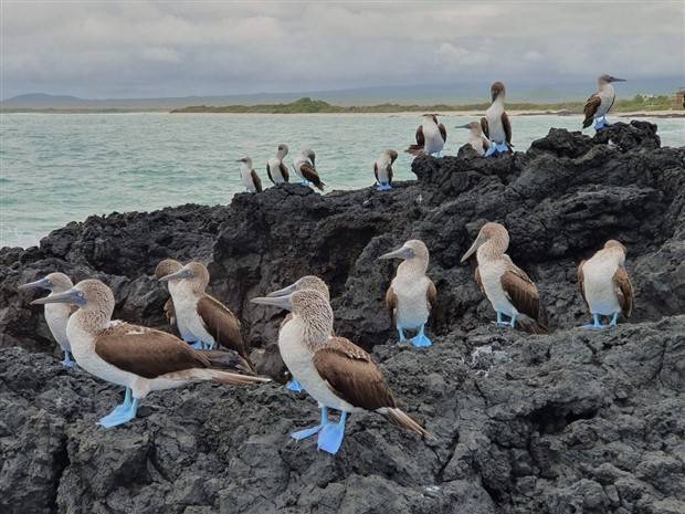 Klyker Picdump #1373 (53 photos)