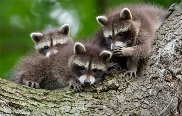 Klyker Picdump #1373 (53 photos)