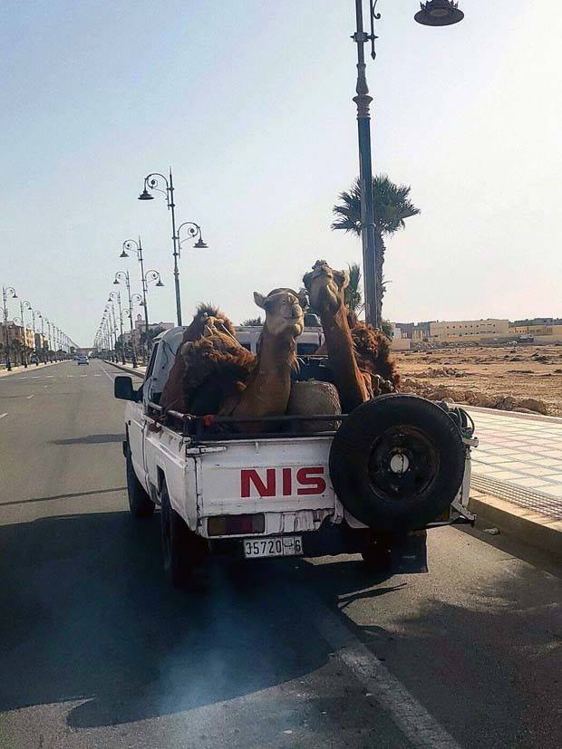 Klyker Picdump #1374 (54 photos)