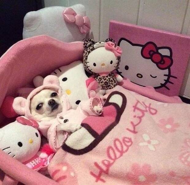 Klyker Picdump #1374 (54 photos)