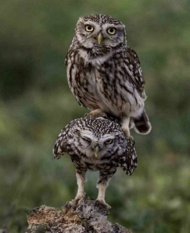 Klyker Picdump #1374 (54 photos)