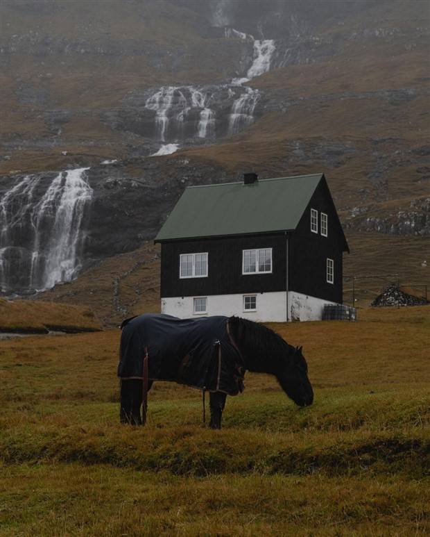 Klyker Picdump #1376 (51 photos)